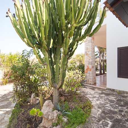 Villa Rose 玛丽娜迪曼卡维萨 外观 照片