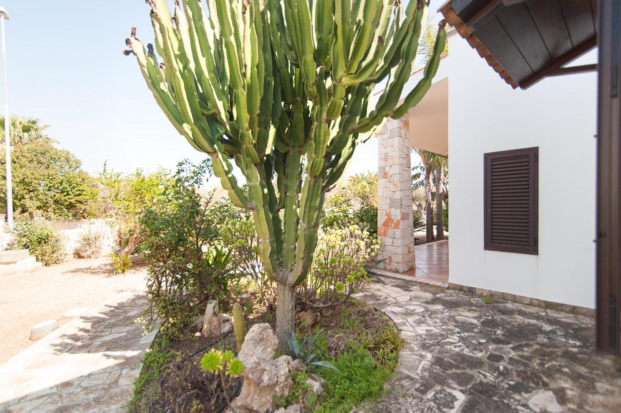 Villa Rose 玛丽娜迪曼卡维萨 外观 照片